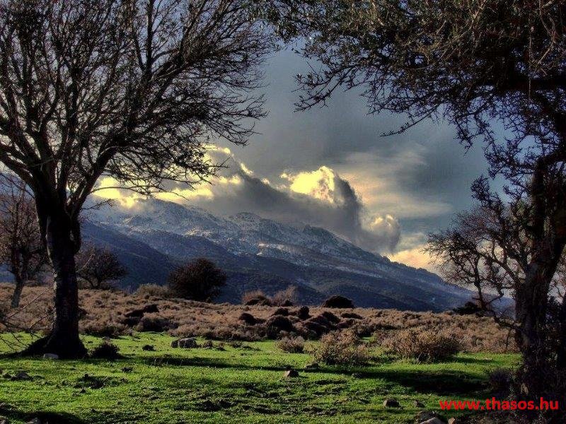 10259760_10152692616582798_6070523872431611914_n