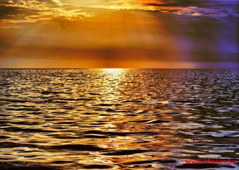 11073092_10152916962642798_8679605283797962125_n