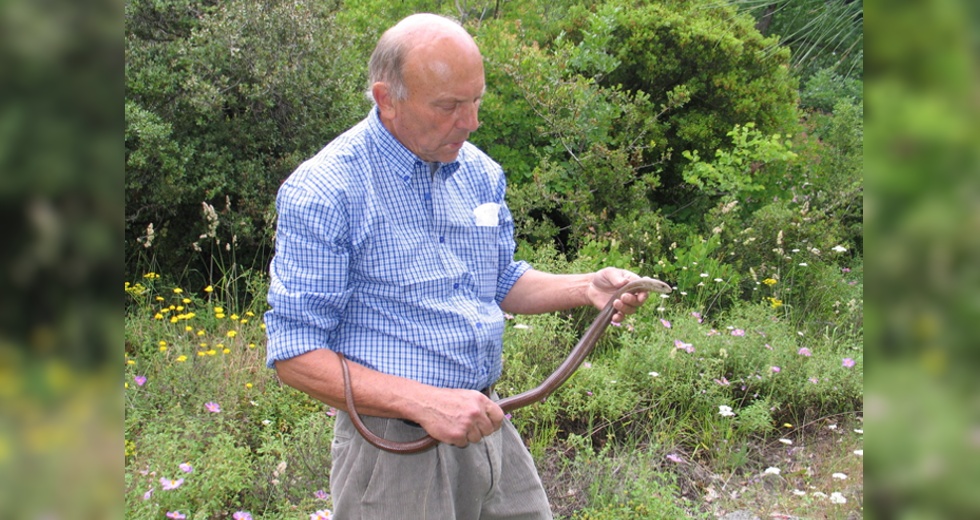 thomas schultze westrum