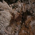 saliniko_beach16