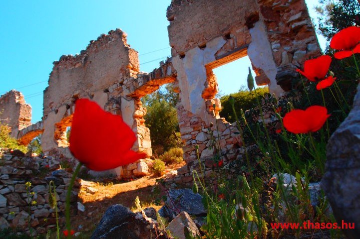 417880_377406812380318_281984288_n