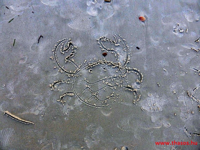 Az öreg falu, a vén platán és a folyók meséje