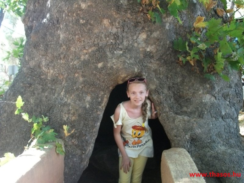 bocsika képei - 2014 Rodosz