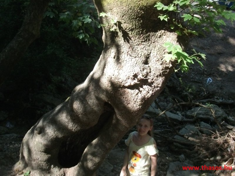 bocsika képei - 2014 Rodosz