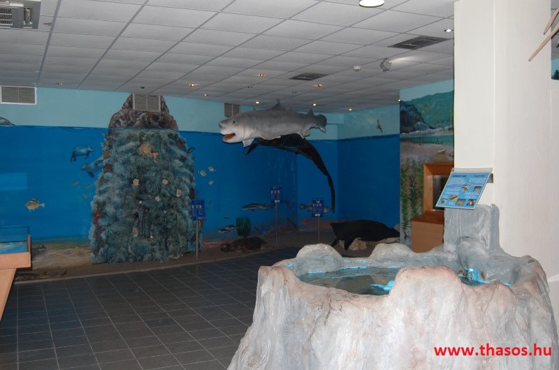 bocsika képei - 2014 Rodosz