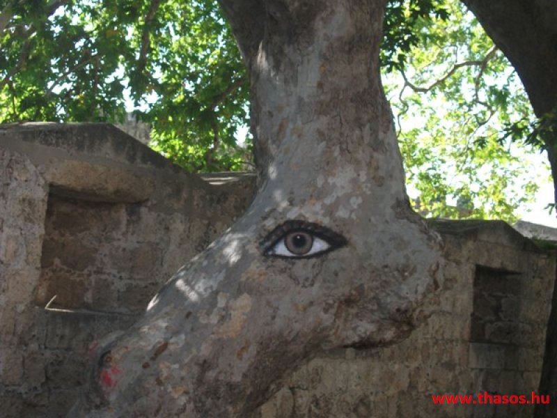 bocsika képei - 2014 Rodosz